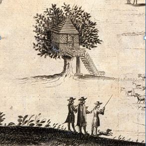 Blue Forest tree house history