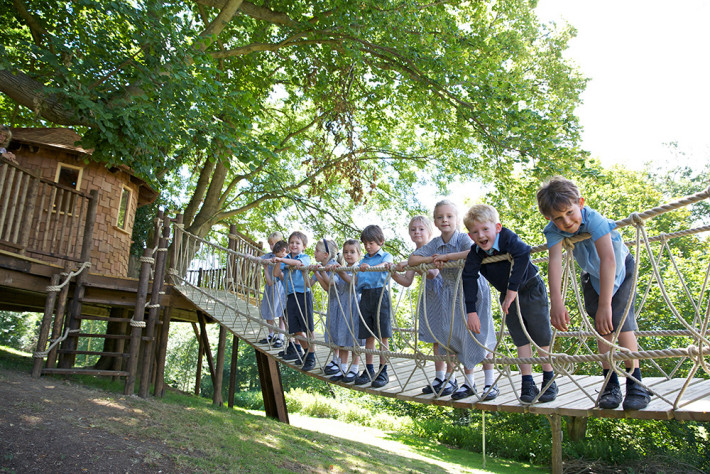 Treehouse Classrooms: An Innovative Approach to Learning - Blue Forest