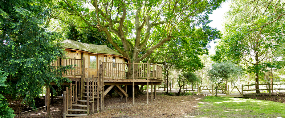 The curved design of the Little Acorn treehouse, built and designed by Blue Forest, echoes the shape of branches. 