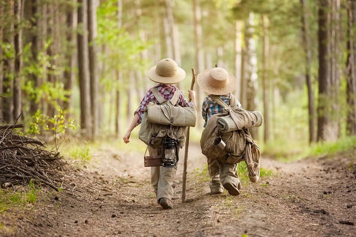 Top 10 Woodland Activities You And Your Kids Will Love