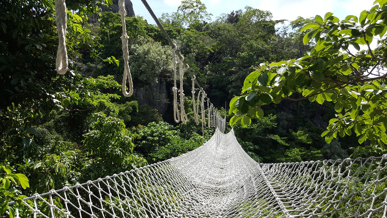 Looking to Relax This Summer? Try a Treetop Net Hangout! - Blue Forest