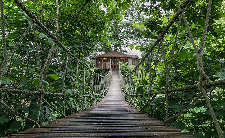 Bensfield Treehouse