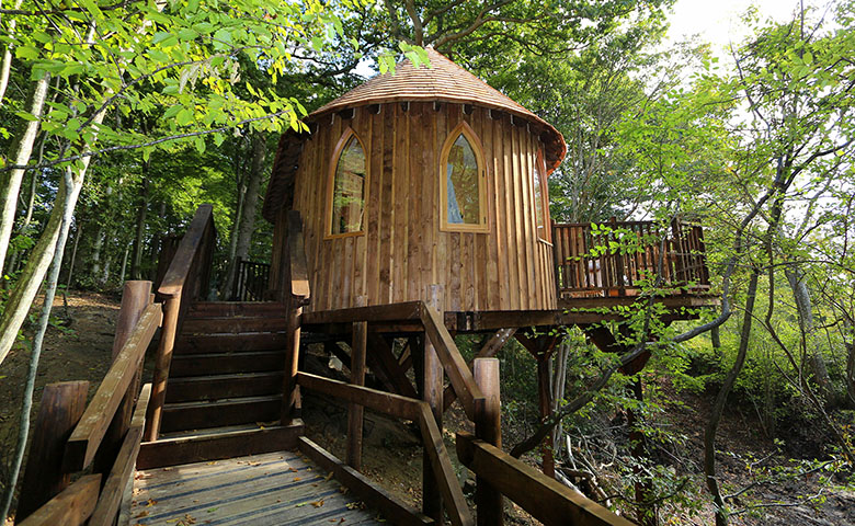 Hoots Treehouse