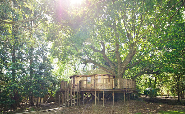 Little Acorn Treehouse