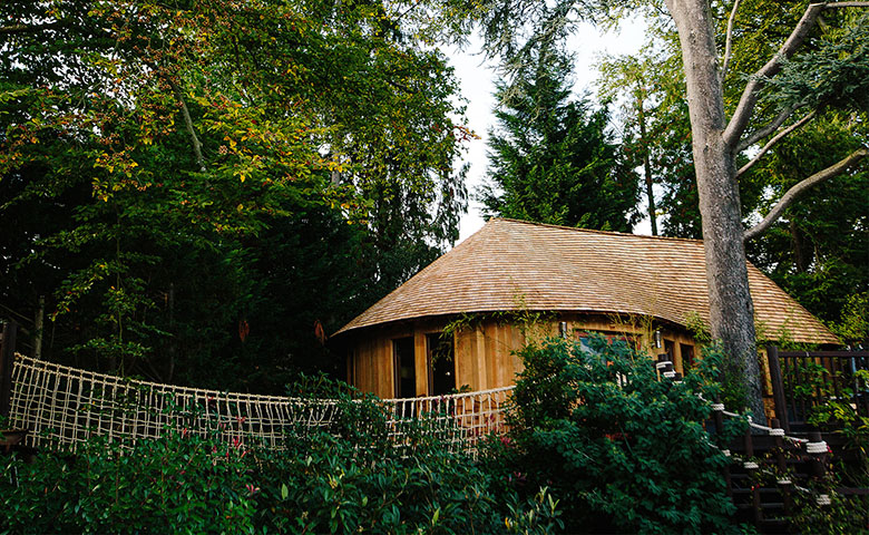 Pool View Treehouse