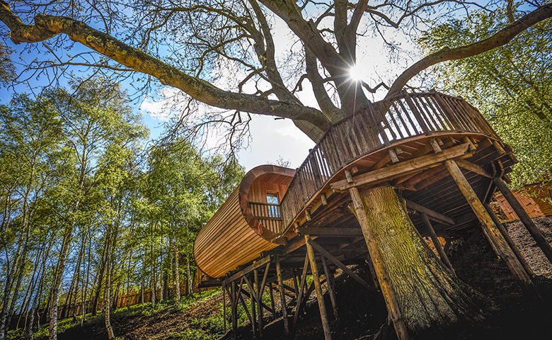 The Fish Hotel Treehouses