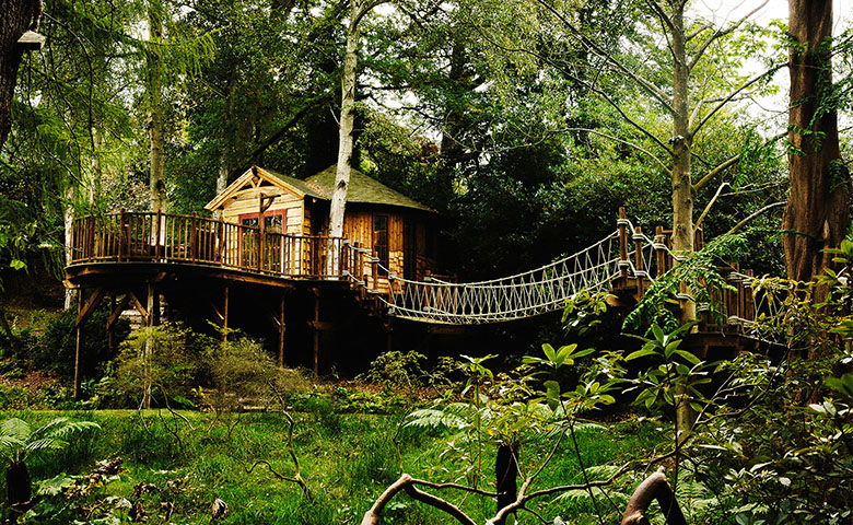 Treehouse Kitchen