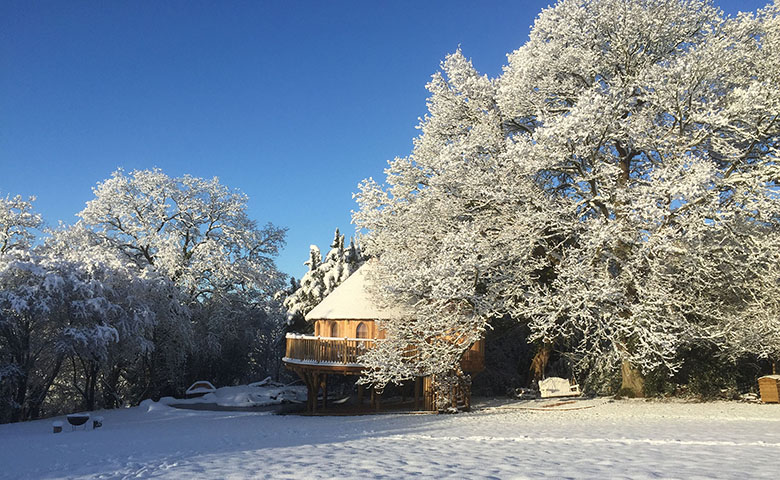 Trewalter Treehouse