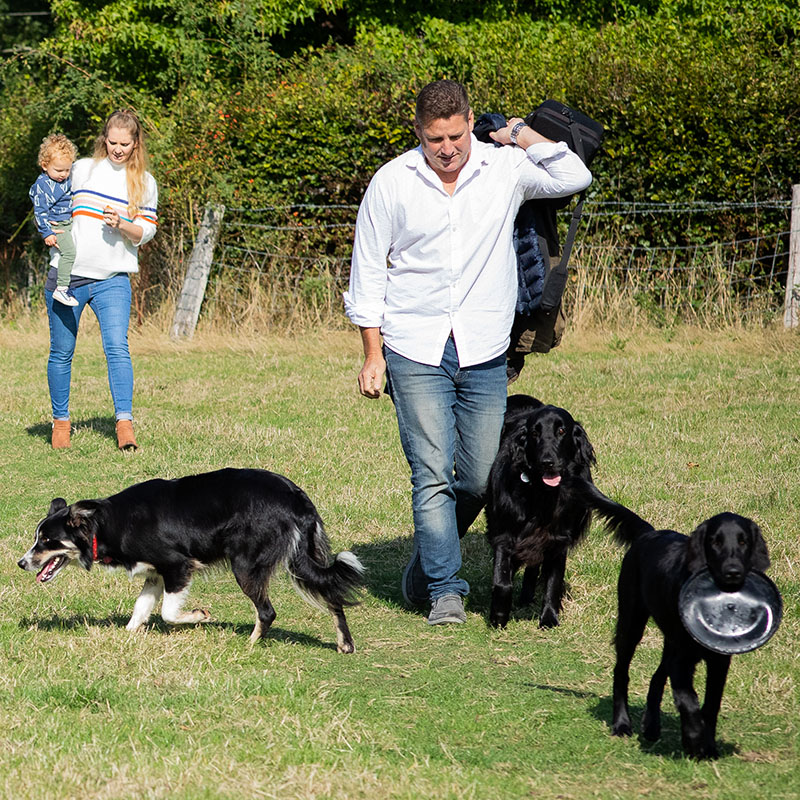 Moss, Perry and Perdy - Office Dogs