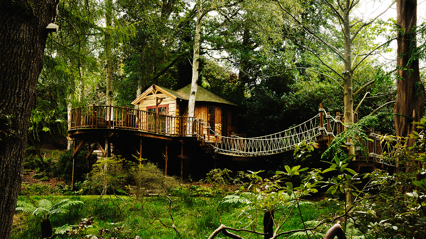 Bespoke Treehouse Designers Blue Forest