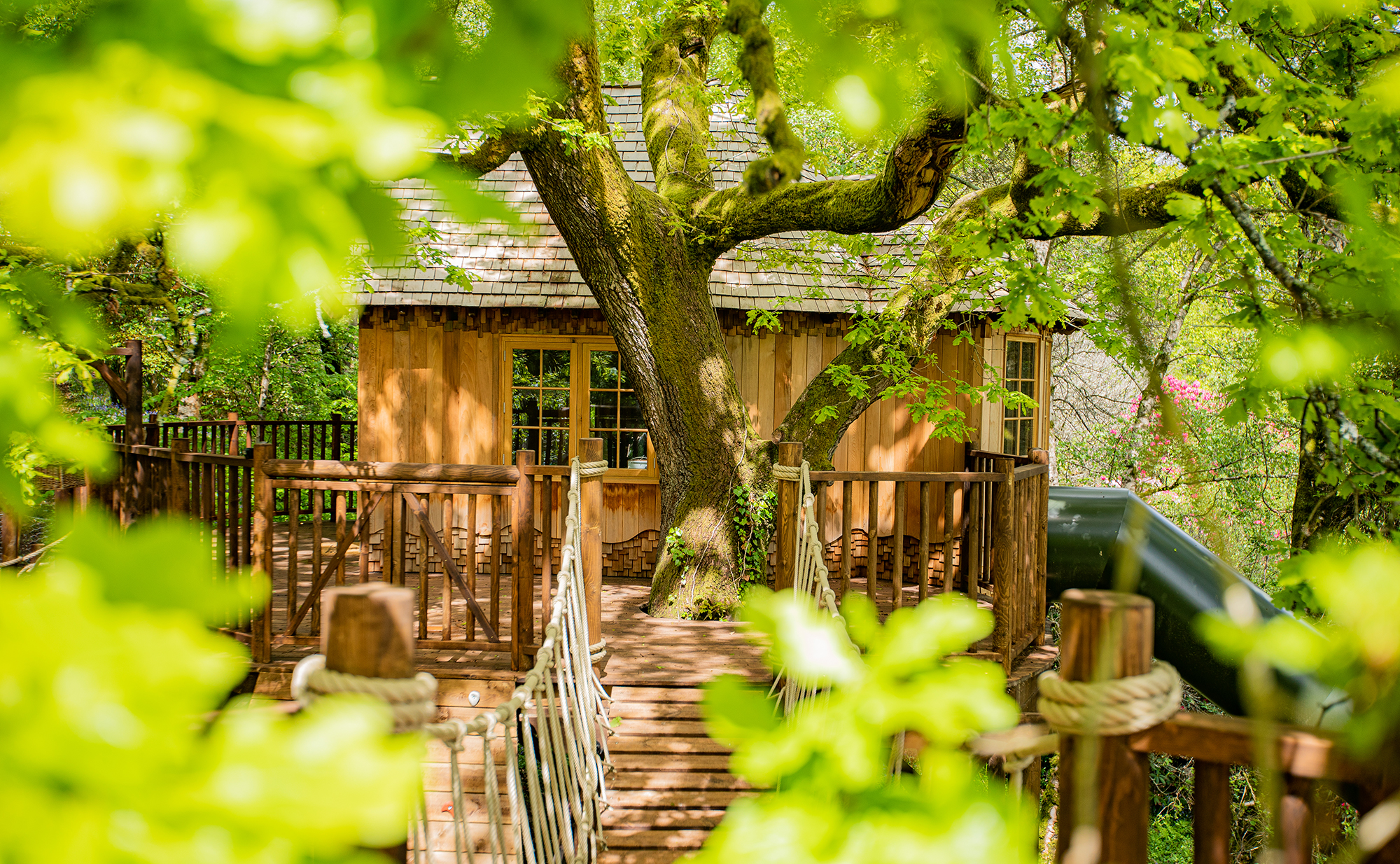 The Lookout Treehouse